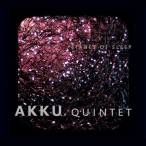 Download track Falling Asleep AKKU Quintet