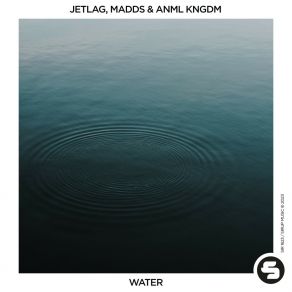 Download track Water (Extended Mix) Anml Kngdm