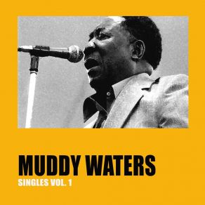 Download track You're Gonna Miss Me (When I'm Dead And Gone) Muddy WatersGone