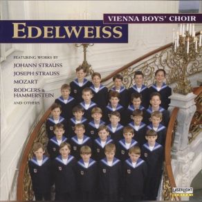 Download track Tritsch-Tratsch-Polka Chit-Chat Polka For Orchestra Op. 214 RV 214 Vienna Boys' Choir