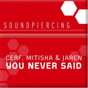 Download track You Never Said (Remix) Cerf, Mitiska & JarenRowald Steyn