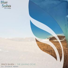 Download track The Leaving Dove (S. H. O. K. K. Remix) DJ Space RavenS. H. O. K. K.