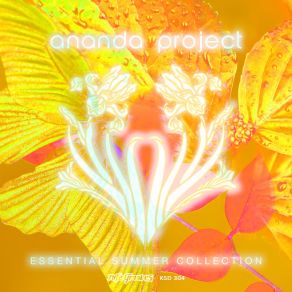 Download track Cascades Of Colour (Danny Tenaglia's Edit Of The Saffron Mix) The Ananda Project