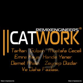 Download track Yılan (Dark Edit) Catwork Remix EngineersDemet Akalın