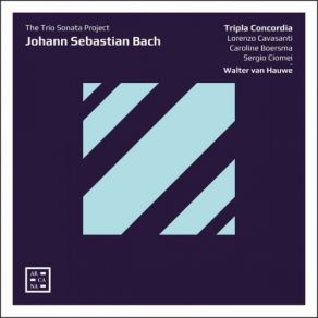 Download track 14. IV. Allegro (Transcribed By Kees Boeke And Walter Van Hauwe) Johann Sebastian Bach