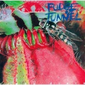 Download track Face Down Fudge Tunnel