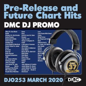 Download track Birthday (Don Diablo Remix) Anne Marie