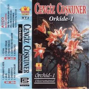 Download track Samanyolu Cengiz Coşkuner