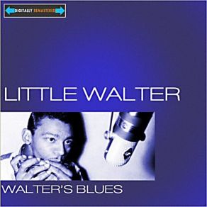 Download track I Got To Find My Baby Little Walter