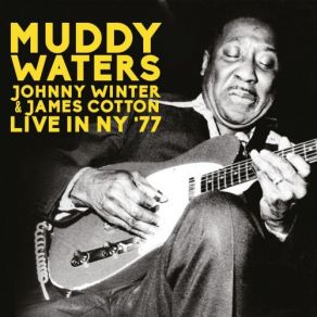 Download track Kansas City (Live) Johnny Winter, Muddy Waters, James Cotton