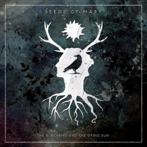 Download track Oceanic Feeling Seeds Of Mary
