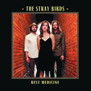 Download track Simple Man The Stray Birds