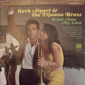 Download track What Now My Love Herb AlpertThe Tijuana Brass