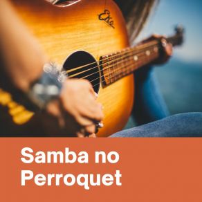Download track Samba No Perroquet Su Conjunto