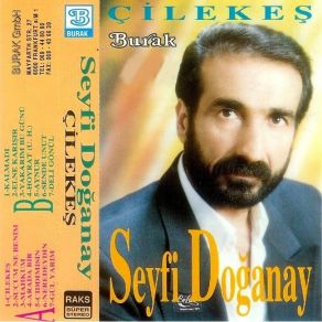 Download track Çilekeş Seyfi Doğanay