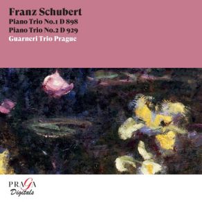 Download track Piano Trio No. 1 In B-Flat Major, Op. 99, D. 898 III. Scherzo - Allegro Guarneri Trio Prague