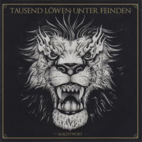 Download track Feuer Und Eis Tausend Löwen