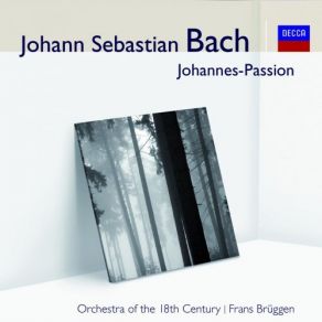 Download track St. John Passion, BWV 245-Part Two-No. 32 Aria (Baß) -Chorus Mein Teurer Heiland Frans Brüggen Orchestra Of The 18th CenturyThe Bass