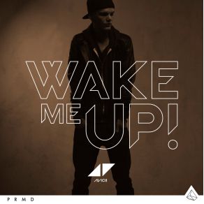 Download track Wake Me Up (Radio Edit) Avicii