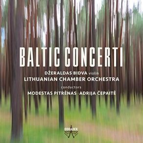 Download track 03. Concerto For Organ, Violin And String Orchestra II. Passacaglia. Andantino Quieto Lithuanian Chamber Orchestra, Džeraldas Bidva