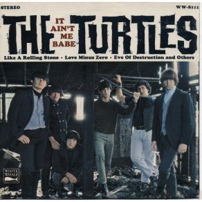 Download track It Ain'T Me Babe Turtles, TheTrampled By Turtles