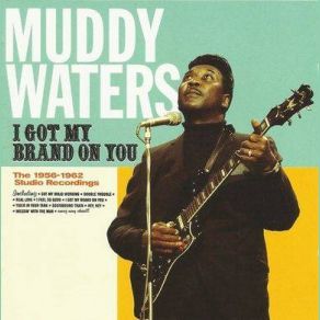 Download track Double Trouble Muddy Waters