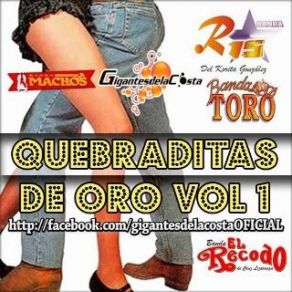 Download track Esa Chica Me Vacila Banda Vallarta Show