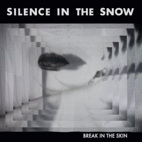 Download track Into The Night Silence In The Snow