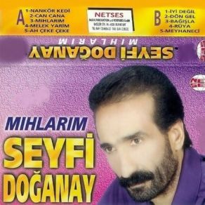 Download track Meyhaneci Seyfi Doğanay