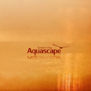 Download track Sunrise Aquascape