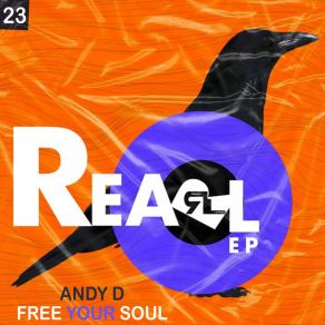 Download track Free Your Soul (Original Mix) D'Andy