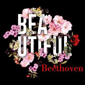 Download track Beethoven Symphony No. 6 In F Major, Op. 68 -Pastoral - 2. Szene Am Bach (Andante Molto Mosso) London Philharmonic, Adrian Boult, Promenade Orchestra