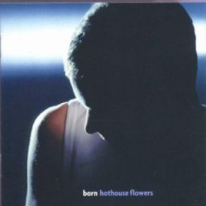 Download track Born Hothouse Flowers