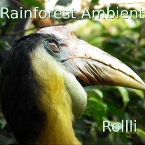 Download track Rainforest Ambient Rollli