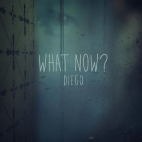 Download track What Now? Diego