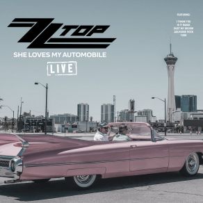 Download track Dust My Broom (Live) ZZ Top