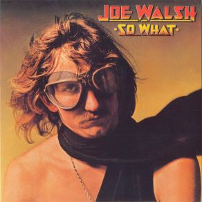 Download track Turn To Stone Joe Walsh