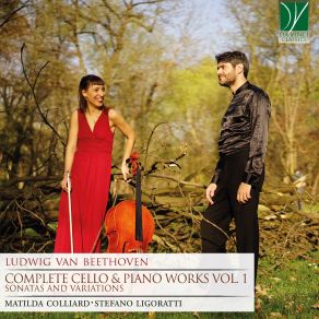 Download track Cello Sonata No. 4 In C Major, Op. 102 No. 1 I. Andante - Allegro Vivace Stefano Ligoratti, Matilda Colliard