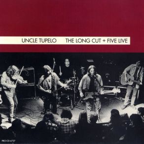 Download track Fifteen Keys (Live)  Uncle Tupelo