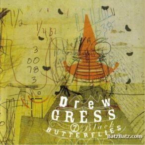 Download track Blue On One Side Drew Gress