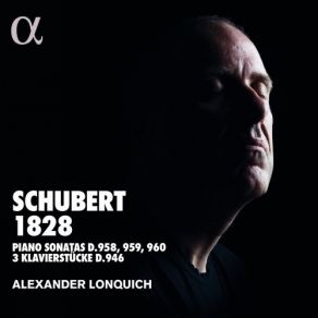 Download track 11. Piano Sonata No. 21 In B-Flat Major, D. 960 - III. Scherzo (Allegro Vivace Con Delicatezza) Franz Schubert