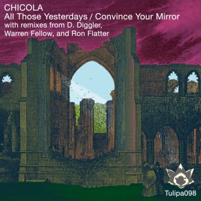 Download track Convince Your Mirror (Original Mix) Chicola