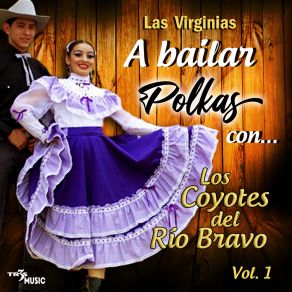 Download track Los Jacalitos Los Coyotes Del Rio Bravo