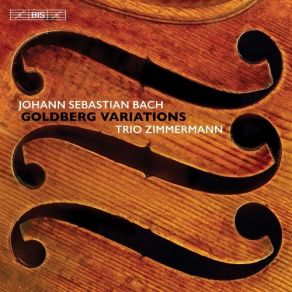 Download track 16. Goldberg Variations BWV 988: Variatio 15. Canone Alla Quinta. A 1 Clav.: Andante Johann Sebastian Bach