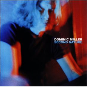 Download track Lullaby To An Anxious Child Dominic Miller