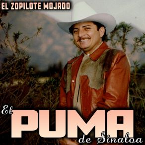 Download track CInco De Chicles El Puma De Sinaloa