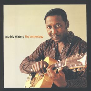 Download track My Home Is In The Delta Muddy Waters