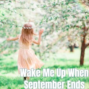 Download track Wake Me Up When September Ends (Instrumental) MiiiiNa