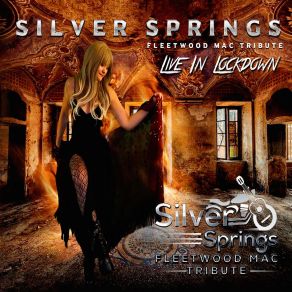 Download track Landslide (Live) Silver Springs