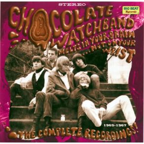 Download track Sweet Young Thing The Chocolate Watchband